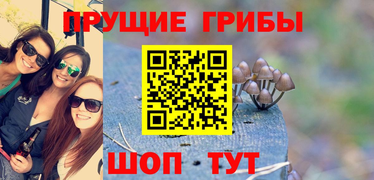 Псилоцибиновые грибы Psilocybine cubensis Чебаркуль
